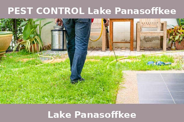 PEST CONTROL Lake Panasoffkee